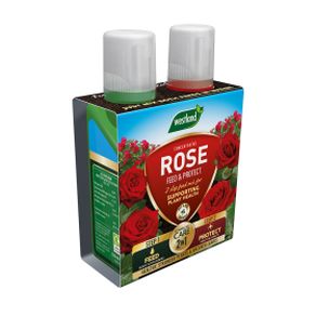2 in1 Feed and Protect Rose