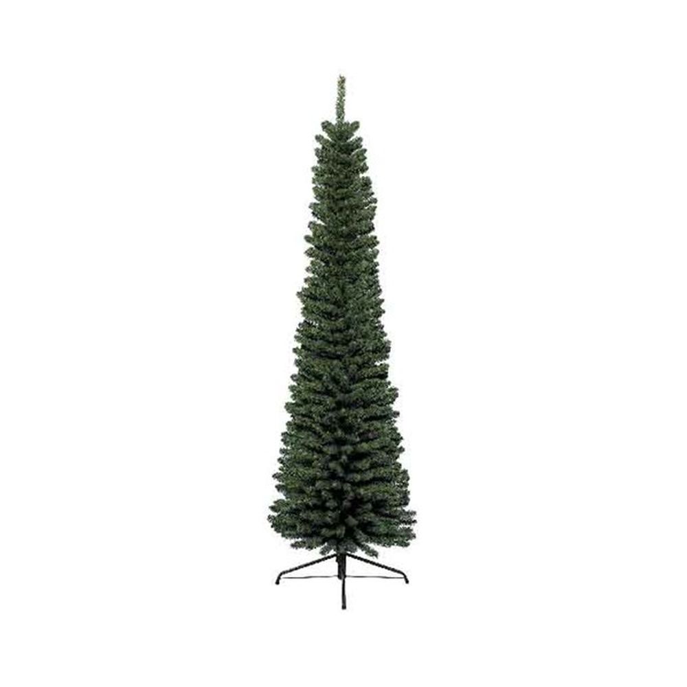 Pencil Pine 1.5m